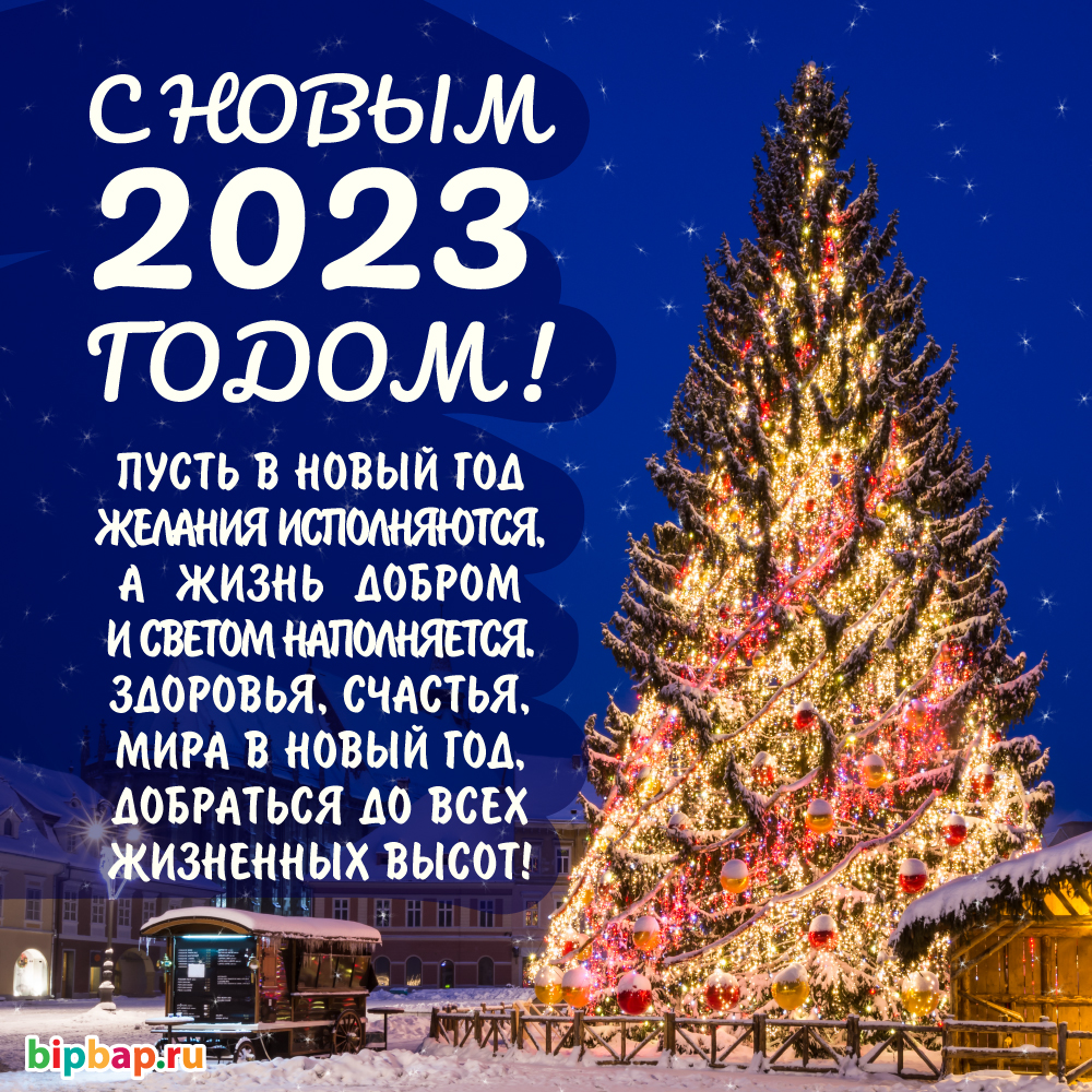 Лубянка елка 2023