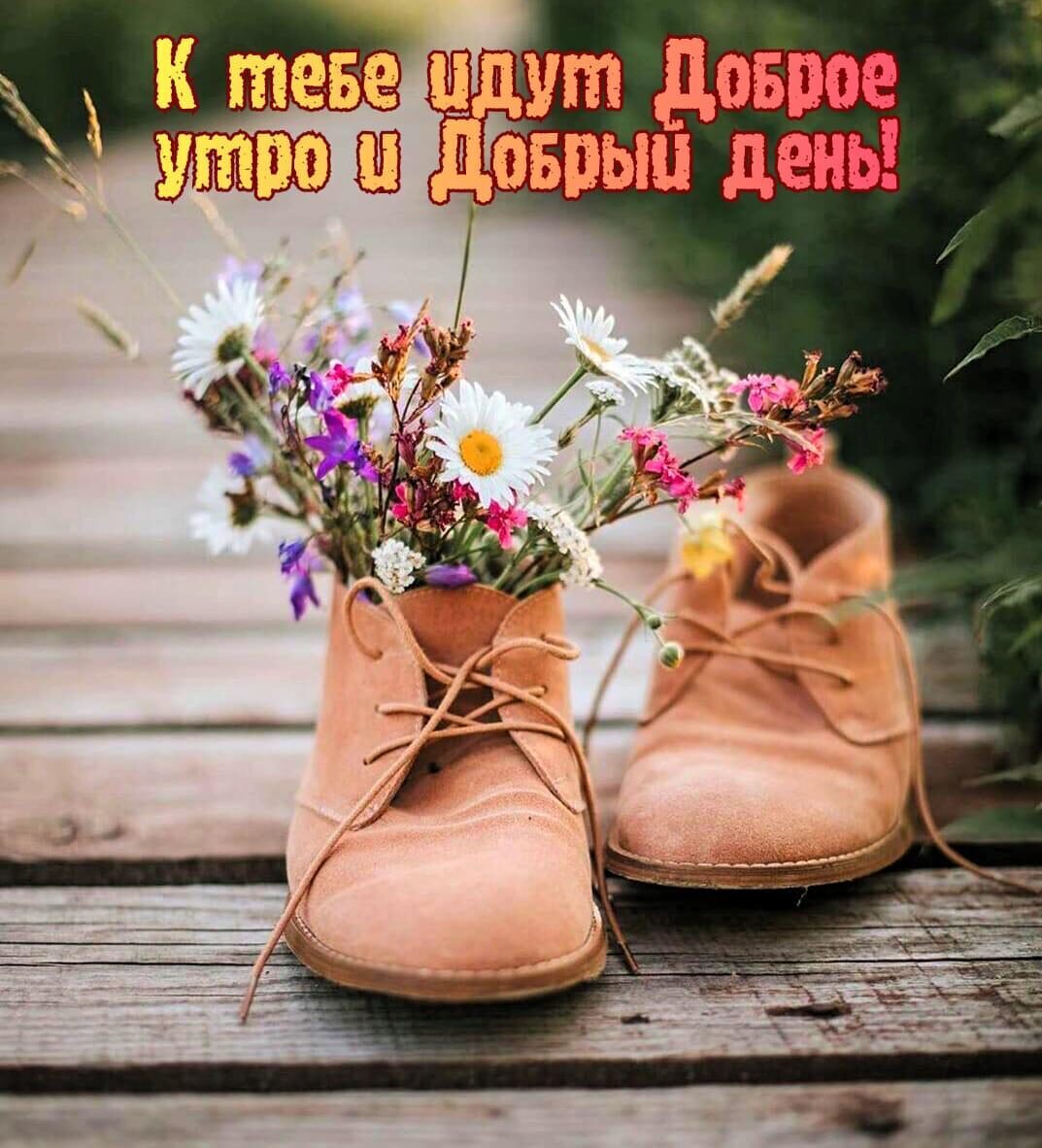 Картинки "Будьте счастливы!" (20 фото) 🔥 BipBap.ru