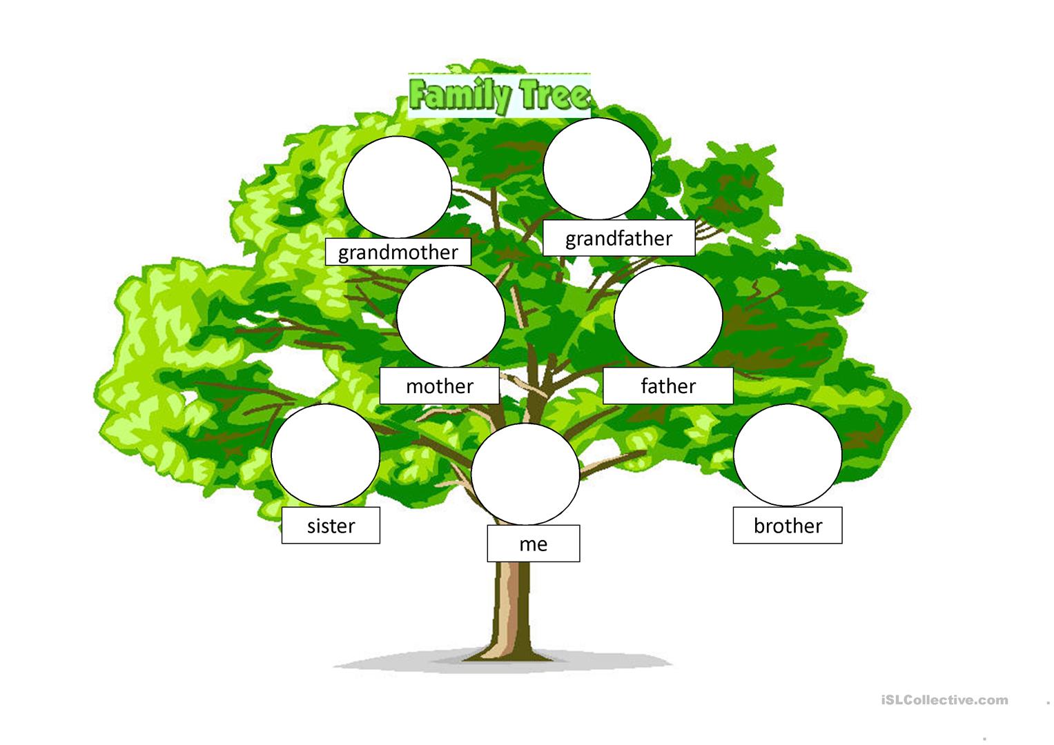 Генеалогическое дерево на английском