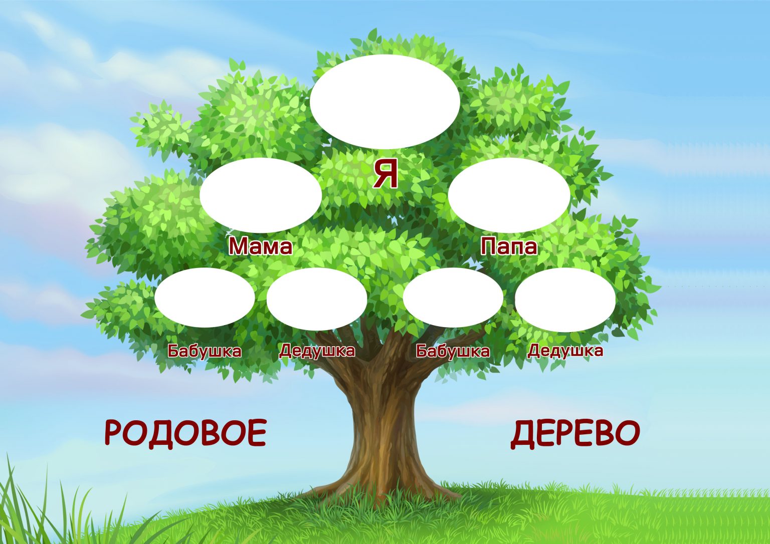 Гинекологическое дерево моей семьи картинка чтоб заполнить