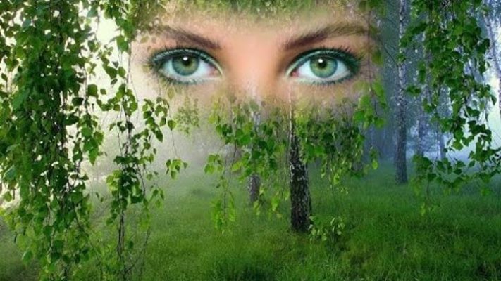 Фото в сосновом лесу девушки