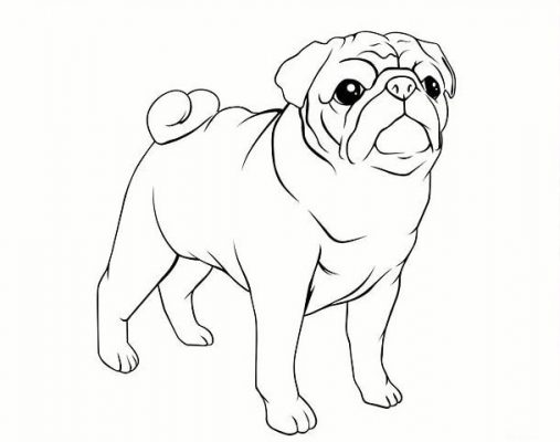 Рисунок собаки мопс