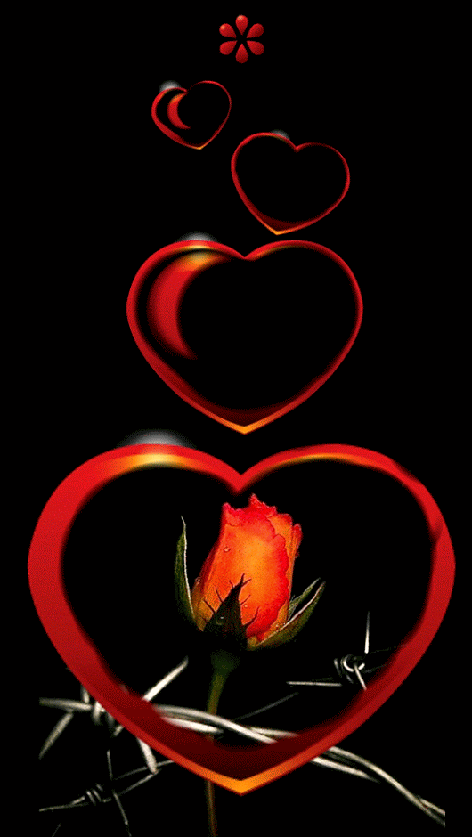 Красивые сердечки гифка. Красивое сердце. Анимированные сердца и цветы. "Цветы любви". Гифы сердце.