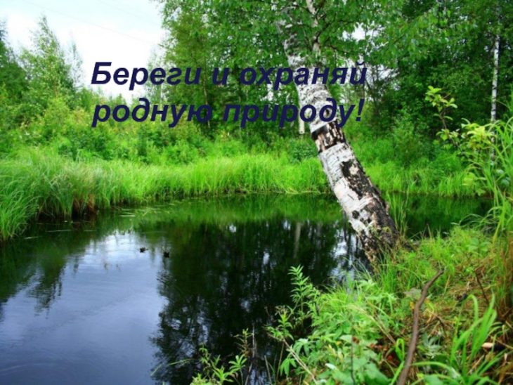 Берегите природу фотографии