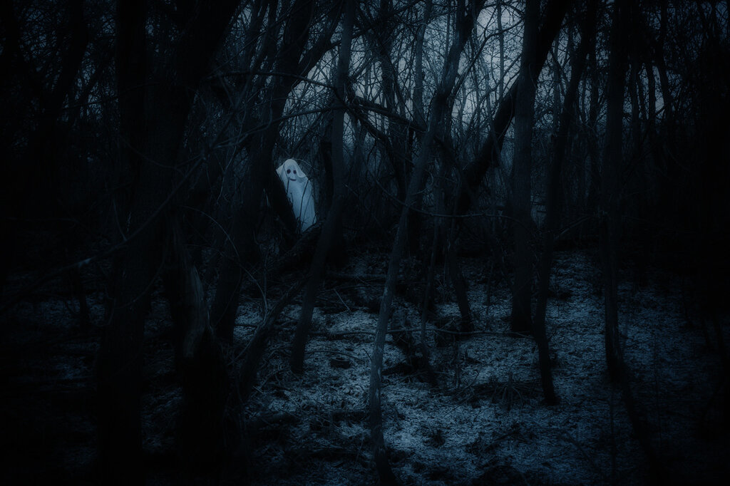 Лагерь ночь ужасов. Страшный лес. Страшный ночной лес. Лес темный страшный. Жуткий лес.