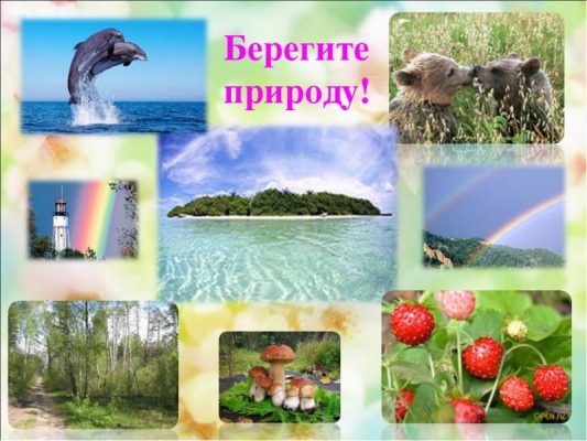 Берегите природу и животных картинки