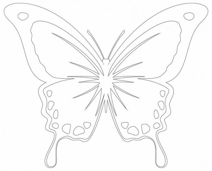 Трафареты бабочек для вырезания (120 картинок) 🔥 Прикольные картинки и юмор