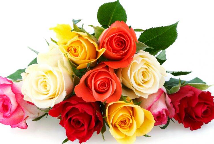Самые красивые цветы в мире фото розы букеты