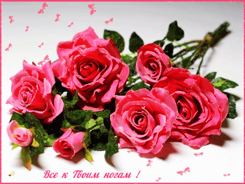 Красивая открытка дорогой подруге. Цветок для подружки. Красивые цветы для подруги. Цветы для подруги открытки. Розы для подруги красивые.