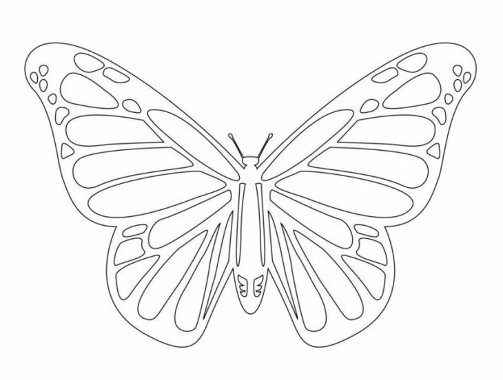 Картинка бабочки для вырезания распечатать