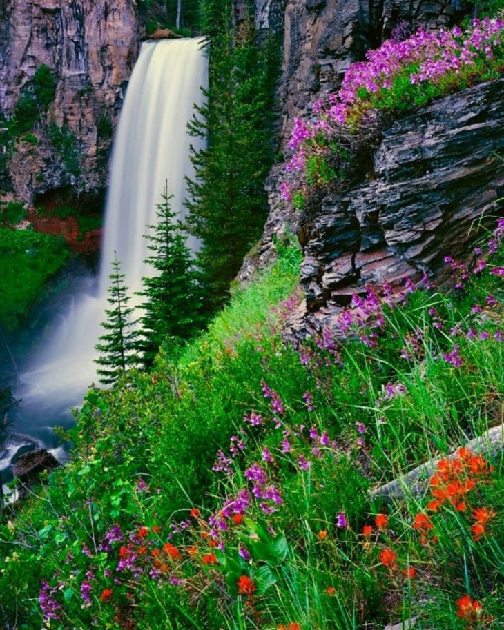 Живой крас. Товансон водопад. Плеседские водопады. Водопад в горах. Пейзаж водопад.