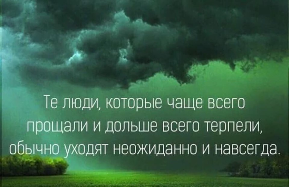 Мир всезнайки цитаты в картинках о жизни со смыслом