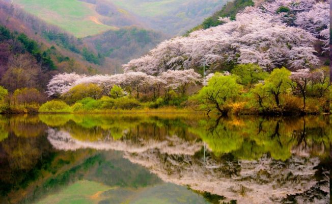 Красивые весенние пейзажи фото