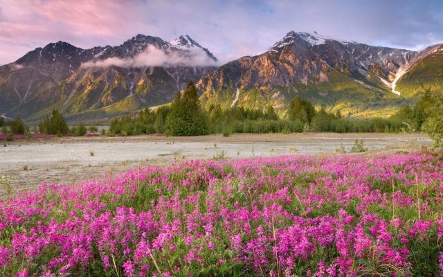 Красивые весенние пейзажи фото