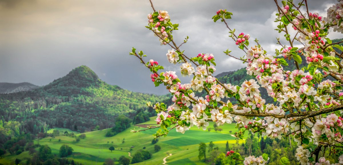 Картинки природы красивые весна мира