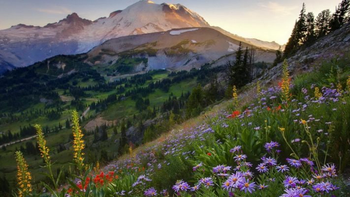 Красивые весенние пейзажи фото