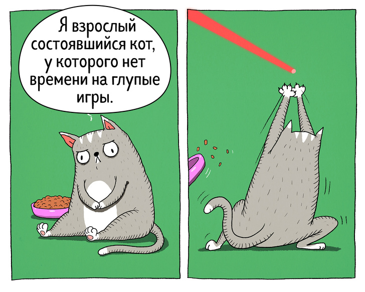 Прикольные мемы про котиков (ФОТО)