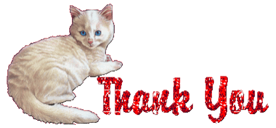 Анимация для презентации спасибо. Спасибо за внимание кот. Спасибо за внимание анимация. Благодарю за внимание анимация. Благодарю за внимание котик.