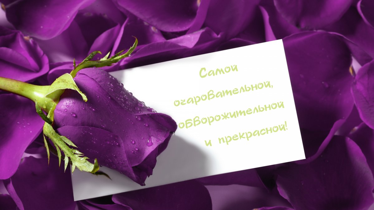 Самые красивые розы любимой девушке (100 фото) 🔥 BipBap.ru