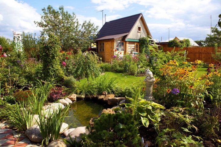 красивые дачи фото | English garden design, Garden landscape design, Cottage garden