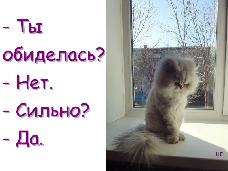 Картинки с надписью - Не обижайся на меня (80 картинок) 🔥 BipBap.ru