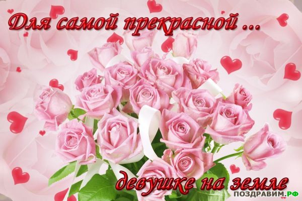 Самые красивые цветы для девушки (100 фото) 🔥 BipBap.ru