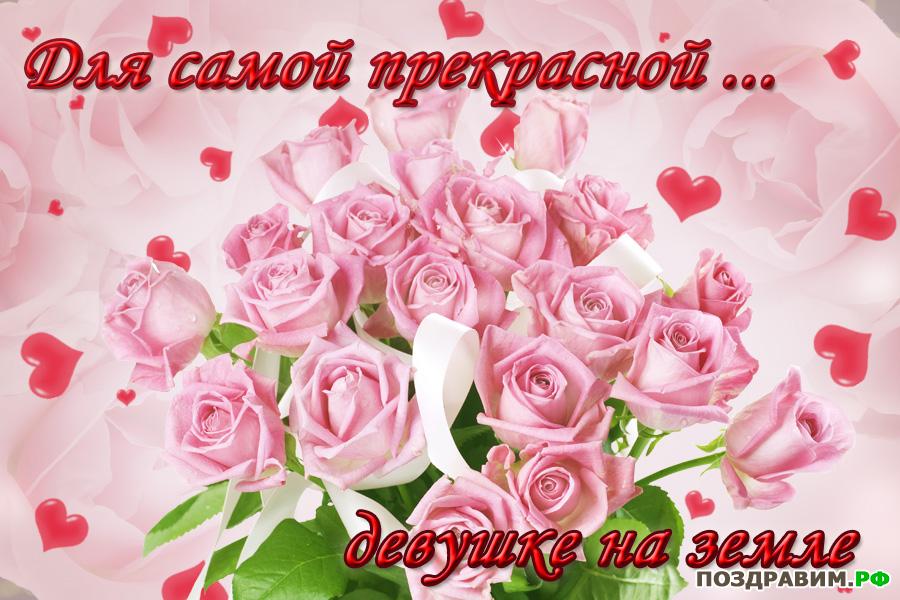 Самые красивые цветы для девушки (100 фото) 🔥 BipBap.ru