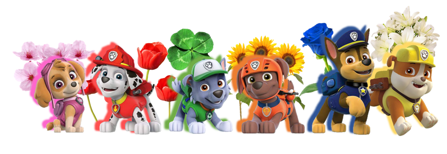 Гончик из мультсериала Щенячий патруль (100 фото) 🔥 BipBap.ru