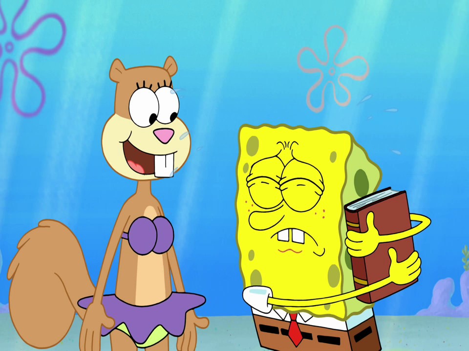Spongebob sandy. Сэнди чикс. Губка Боб Сэнди чикс. Губка Боб квадратные штаны Сэнди. Губка Боб квадратные штаны Сэнди чикс.