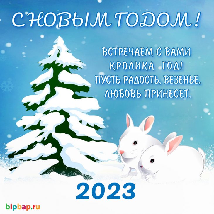 с новым годом 2023 картинки и открытки с кроликом 100 открыток