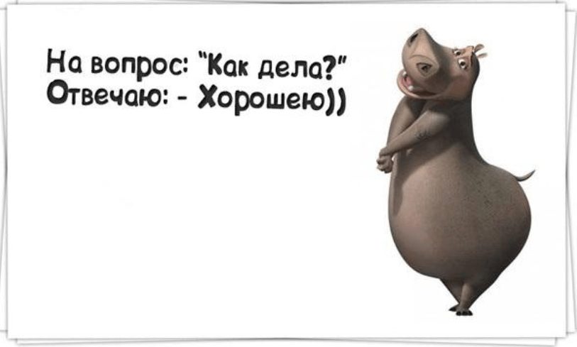 Ответ на вопрос работаешь. Ответ на вопрос как дела с юмором. Дела отлично. Смешные картинки на вопрос как дела. Дела хорошо.