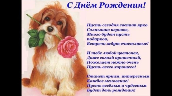 Поздравления с днем рождения кинологу (100 фото) 🔥 Прикольные картинки ...