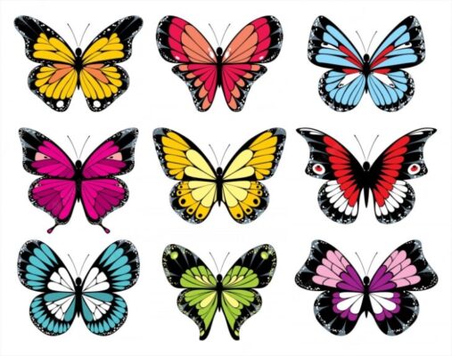 Трафареты бабочек для букета (100 фото) 🔥 BipBap.ru