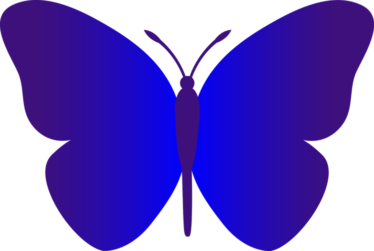 Трафареты бабочек для букета (100 фото) 🔥 BipBap.ru