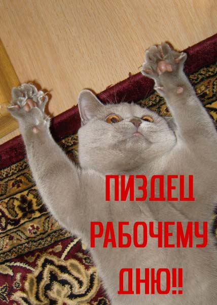 Приколы С Матами Для Телефона Приколы С Матами Для Телефона