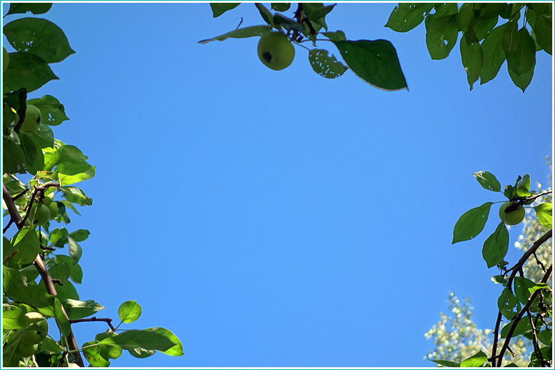 Притчи Притчи